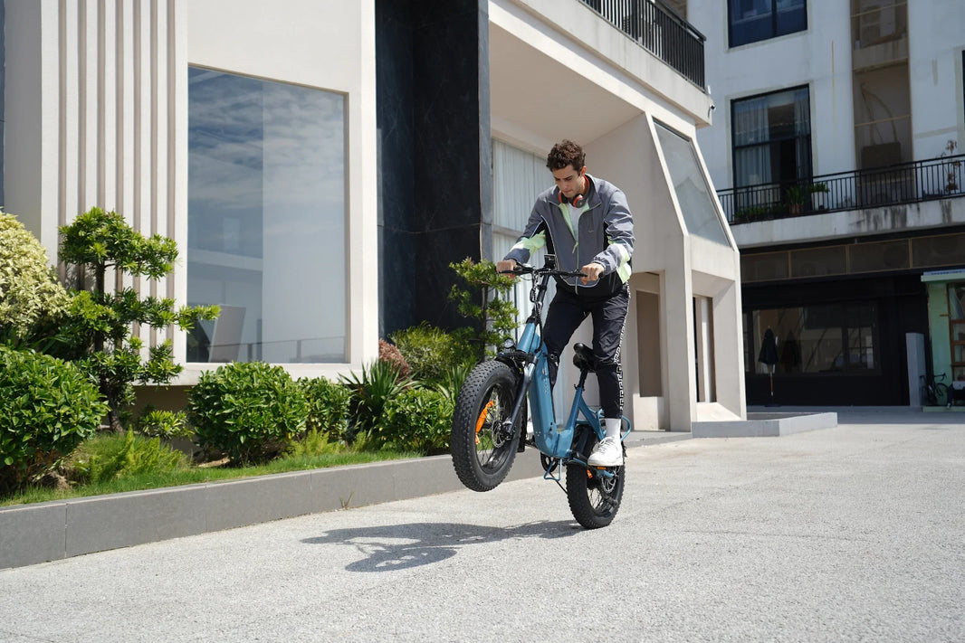 DYU FF500 vs Fiido M1 Pro: Welches faltbare Fat-Tire E-Bike ist besser?