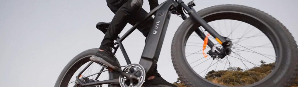 DYU Will Launch DYU King 750 Fat Tire Electric Bike with a 750W Powerful Motor