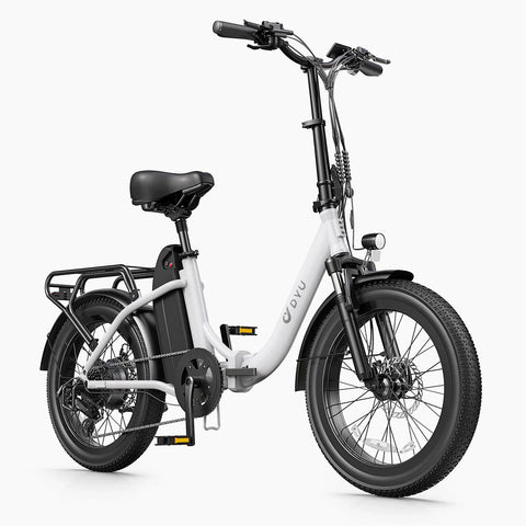 DYU C9 20 Zoll Langstrecken-E-Bike