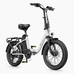 DYU C9 20 Zoll Langstrecken-E-Bike