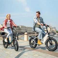 DYU C9 20 Zoll Langstrecken-E-Bike