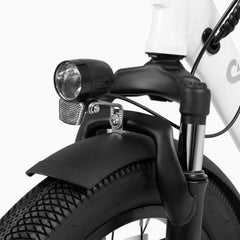 DYU C9 20 Zoll Langstrecken-E-Bike
