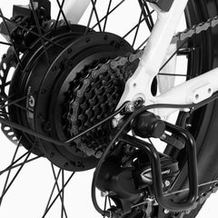 DYU C9 20 Zoll Langstrecken-E-Bike
