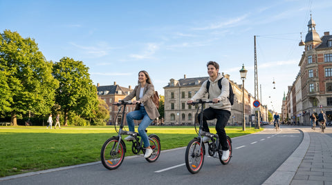 DYU SP1 20-Zoll Faltbares E-Bike mit herausnehmbarer Powerbank