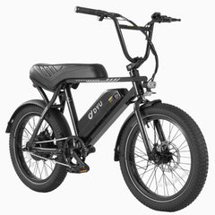 DYU UX-BMX 20-Zoll Fatbike E-Bike
