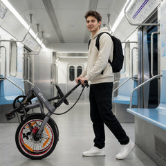 DYU SP1 20-Zoll Falt-E-Bike mit herausnehmbarer Powerbank