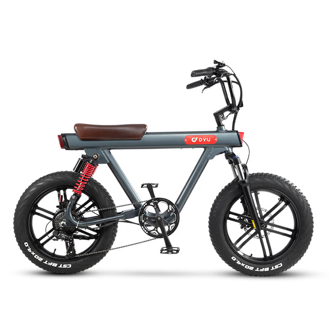 DYU V8 urban 48v 750w electric bike kit with battery